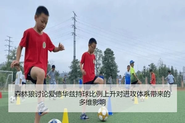 森林狼讨论爱德华兹持球比例上升对进攻体系带来的多维影响